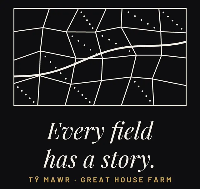 Every field has a story