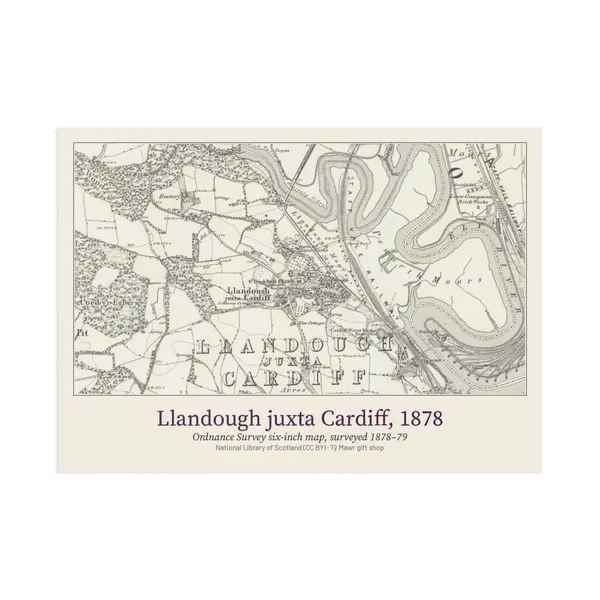 Llandough juxta Cardiff 1878 Map Postcard