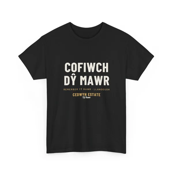 Cofiwch Dŷ Mawr T-shirt