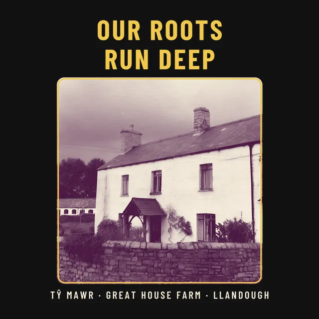 Our roots run deep